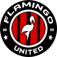 logo of Flamingo United