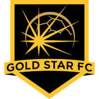 logo of Gold Star