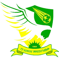 logo of TJ Sokol Brezovička