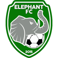 logo of Eléphant FC d'Am Timan