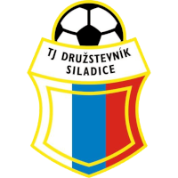 logo of TJ Družstevník Siladice