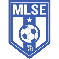 logo of Martfűi LSE