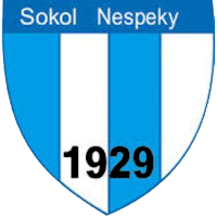 logo of TJ Sokol Nespeky
