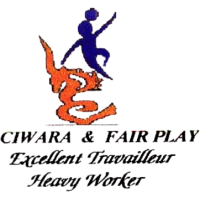 logo of Bourou Massa FC