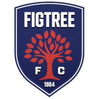 logo of Figtree FC