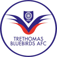 logo of Trethomas Bluebirds AFC