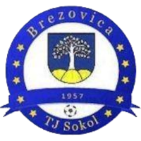 logo of FK TJ Sokol Brezovica