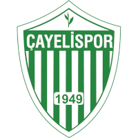 logo of Smart Holding Çayelispor