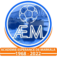 logo of AEM