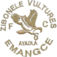 logo of Zibonele Vultures FC