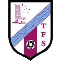 logo of Acontebro Tauste FS