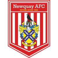 logo of Newquay AFC