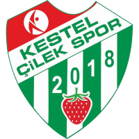logo of Kestel Çilekspor