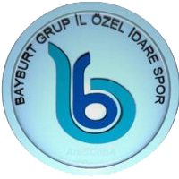 old logo of Bayburt Özel İdarespor