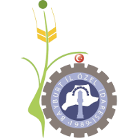 old logo of Bayburt Özel İdarespor