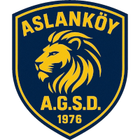 logo of Aslanköy GSD