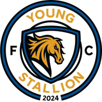 logo of Young Stallion FC
