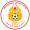 Club logo of Al Mesaimeer SC