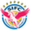 Team logo of Seongnam FC