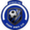 Club logo of Springs SC