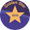 Club logo of جولدن ستار فورت دي فرانس