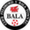 Team logo of Bala Town FC