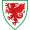 Team logo of Wales U17