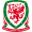 Team logo of Wales