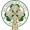Club logo of St Patrick's CY FC