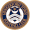 Club logo of هانجرفورد تاون
