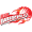 Club logo of Delhi Daredevils
