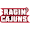 Logo of Louisiana-Lafayette Ragin' Cajuns