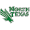 Club logo of North Texas Mean Green