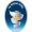Club logo of FK Bosna Sema
