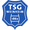 Club logo of TSG 62/09 Weinheim