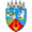 Club logo of CSM Lugoj
