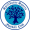 Club logo of Spelthorne Sports FC