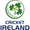 Club logo of Ирландия
