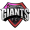 Club logo of San Fernando Giants