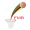 Team logo of Mozambique