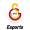Club logo of Galatasaray Esports