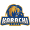 Club logo of Karachi Kings