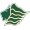 Club logo of Saint Leo Lions