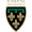 Team logo of Florentia San Gimignano SSD