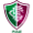 Club logo of Fluminense EC