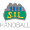 Club logo of Storhamar HE