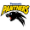 Club logo of Panasonic Panthers