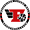 Club logo of Raiffeisen Flyers Wels