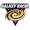 Club logo of Galaxy Racer