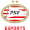 Club logo of PSV Esports